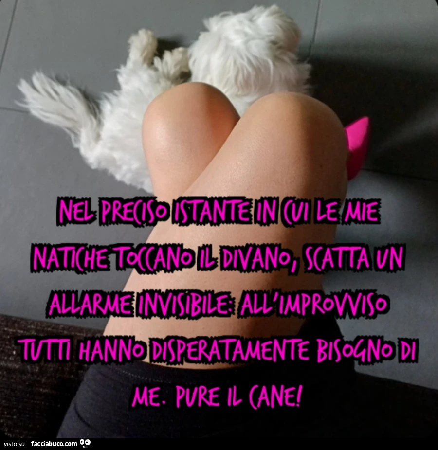 Nel preciso istante in cui le mie natiche toccano il divano, scatta un allarme invisibile: all'improvviso tutti hanno disperatamente bisogno di me. Pure il cane