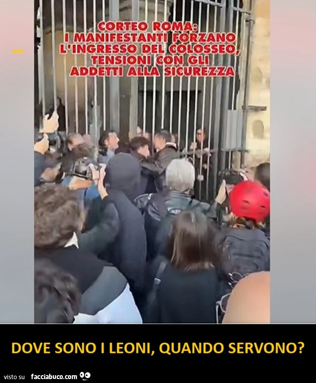 Dimostranti rinchiusi al Colosseo ma i leoni non c'erano
