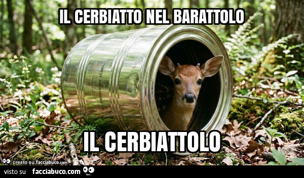 Il cerbiatto nel barattolo il cerbiattolo