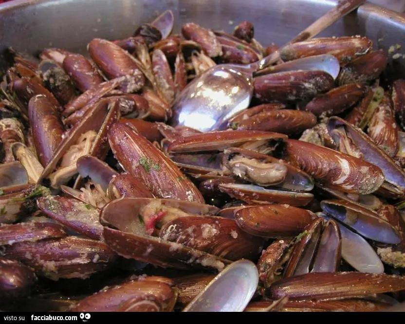 Vaccata