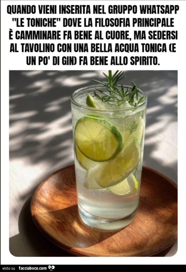 Quando vieni inserita nel gruppo WhatsApp "le toniche" dove la filosofia principale è Camminare fa bene al cuore, ma sedersi al tavolino con una bella acqua tonica (e un po' di gin) fa bene allo spirito