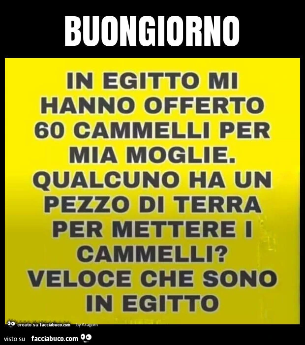 Buongiorno