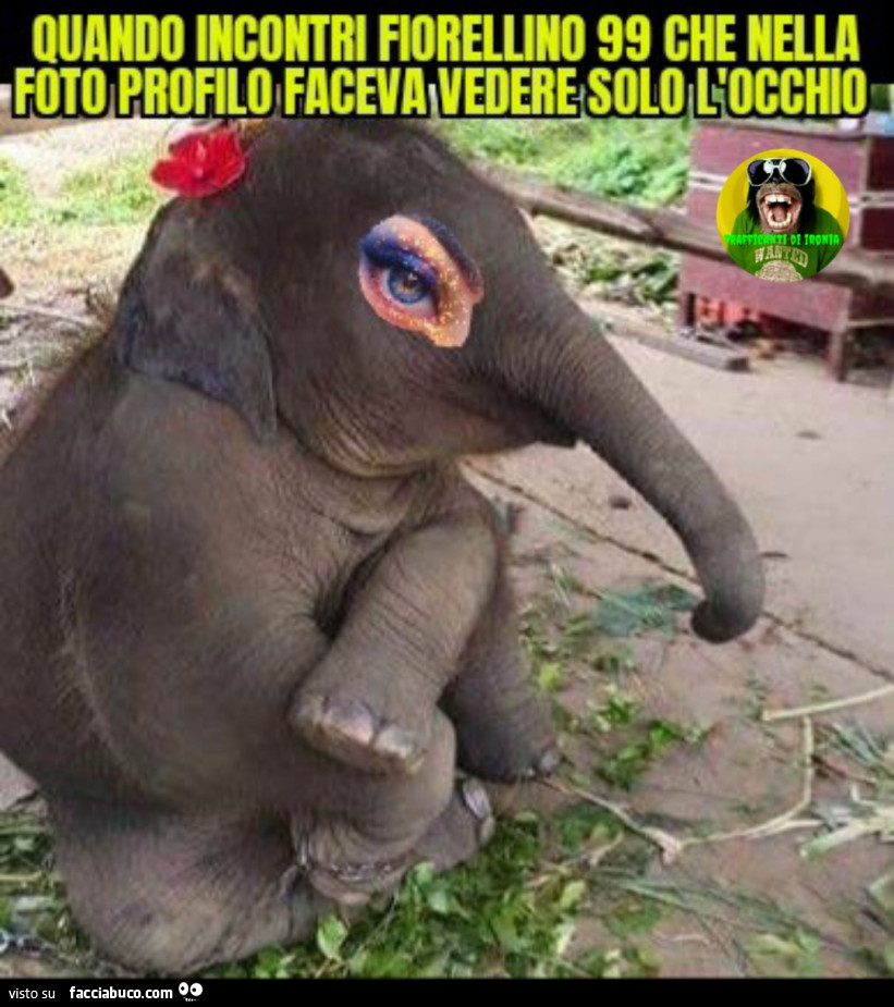 Quando incontri fiorellino 99 che nella foto profilo faceva vedere solo l'occhio