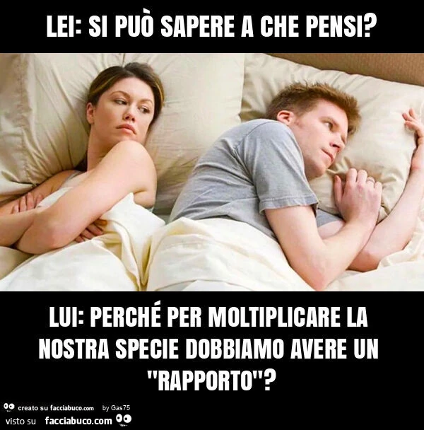 Lei: si puรฒ sapere a che pensi? Lui: perchรฉ per moltiplicare la nostra specie dobbiamo avere un "rapporto"?