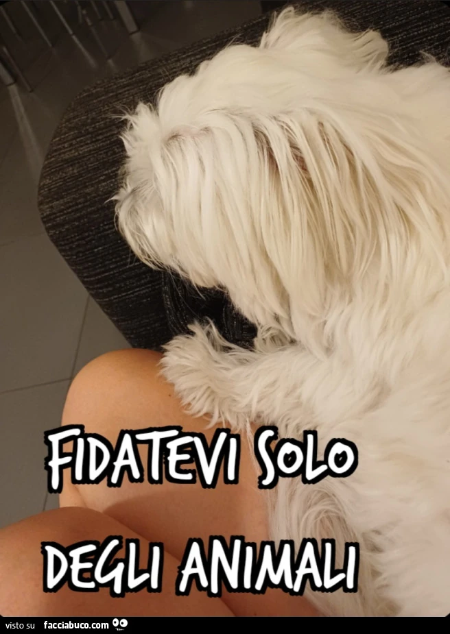 FIDATEVI SOLO DEGLI ANIMALI