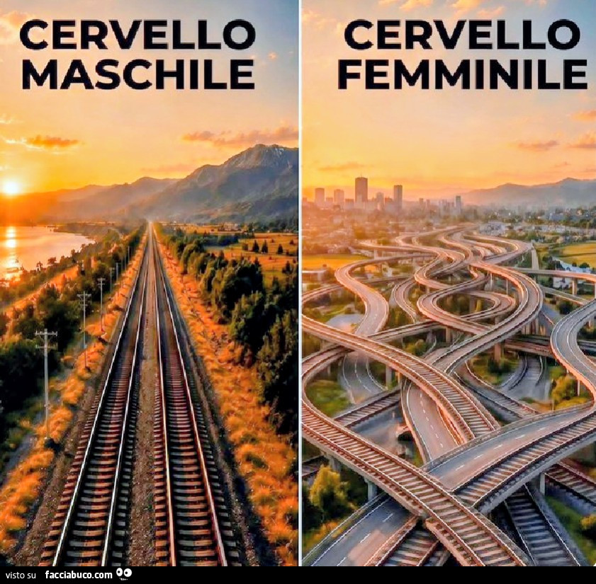Cervello