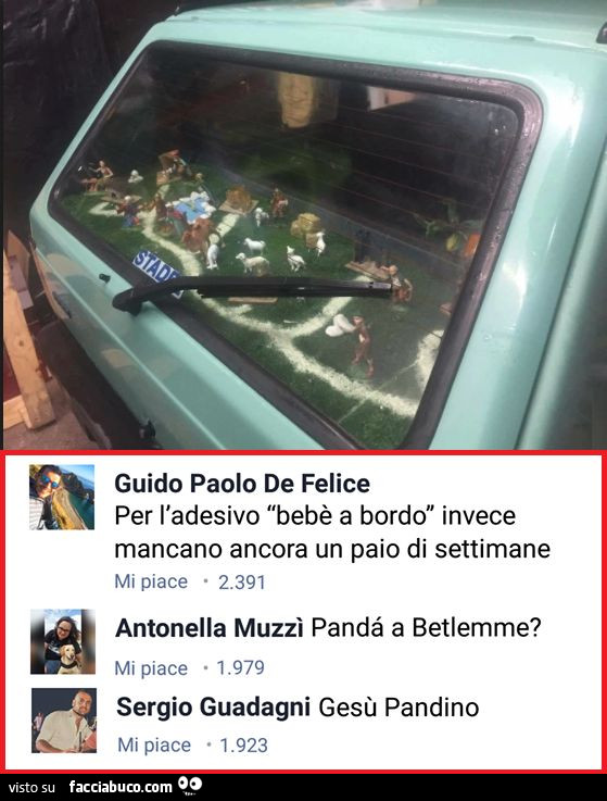Vaccata