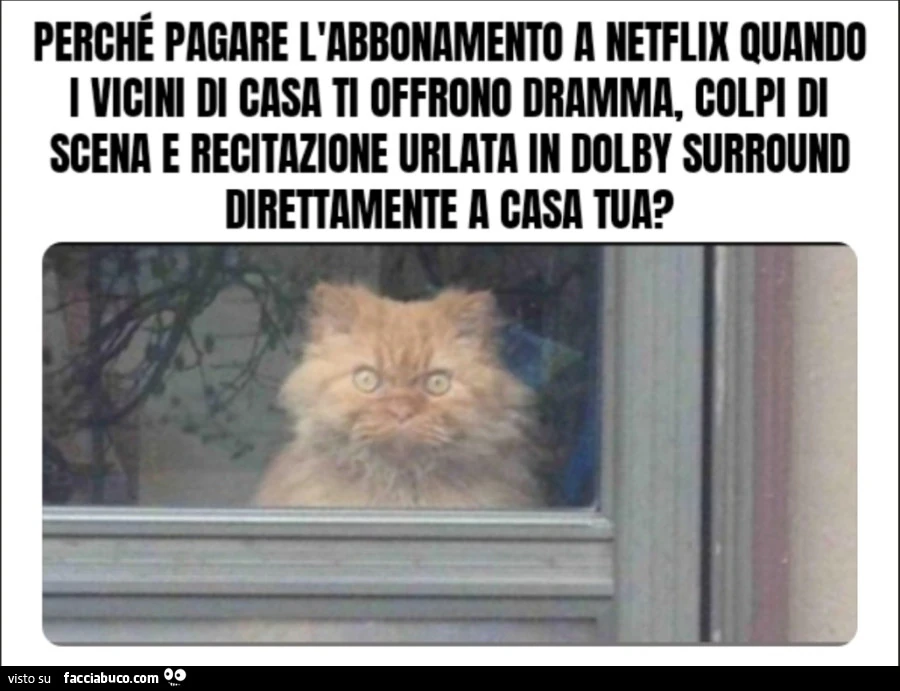 Perché pagare l'abbonamento a Netflix quando i vicini di casa ti offrono dramma, colpi di scena e recitazione urlata in Dolby Surround direttamente a casa tua?