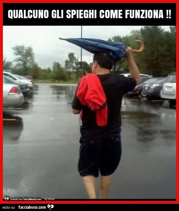 Qualcuno gli spieghi come funziona