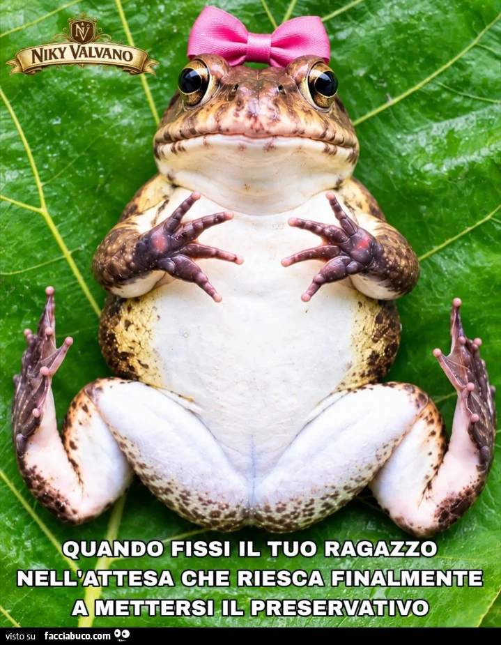 Vaccata