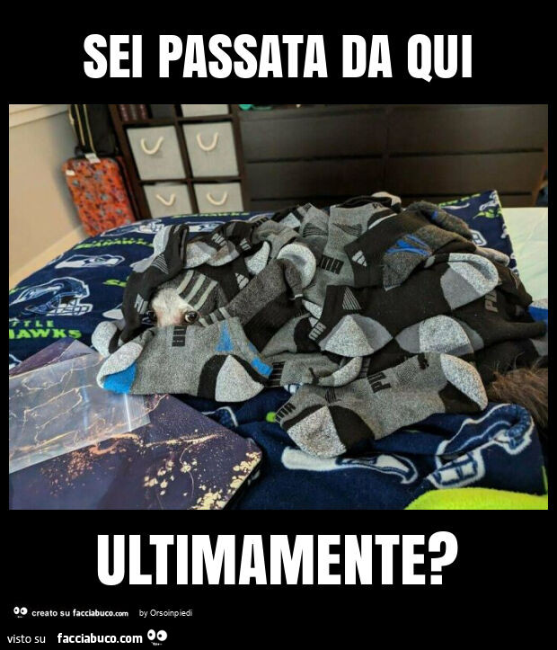 Sei passata da qui ultimamente?