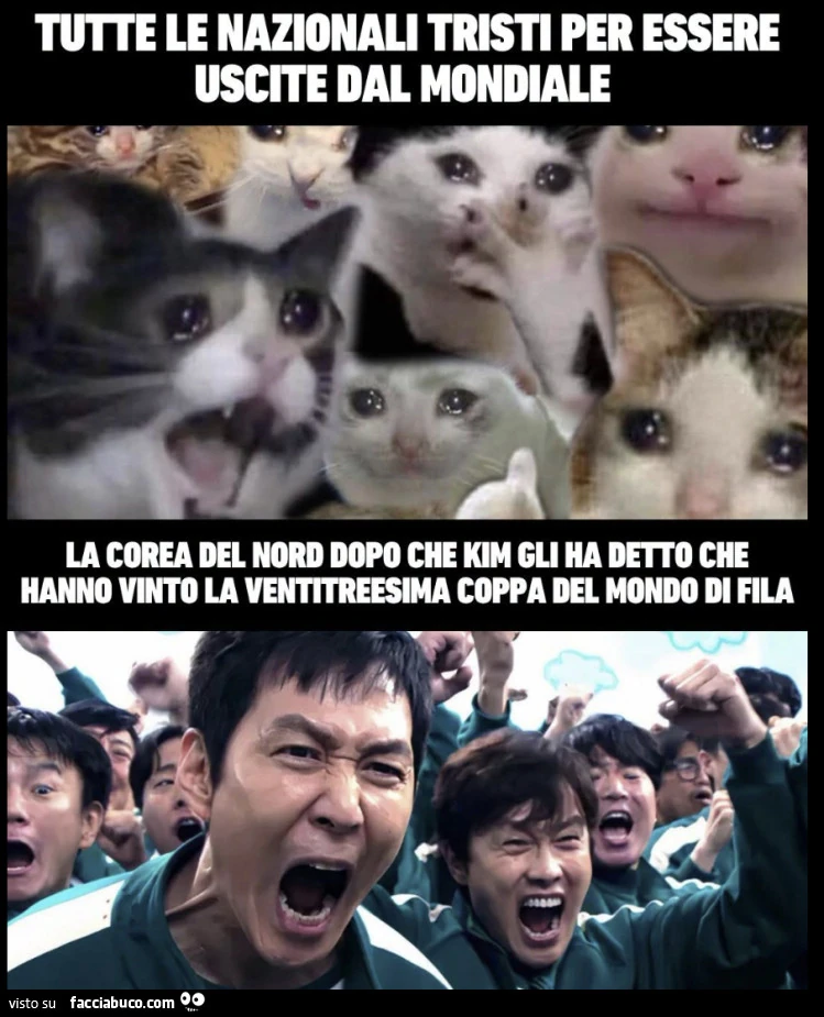 Vaccata