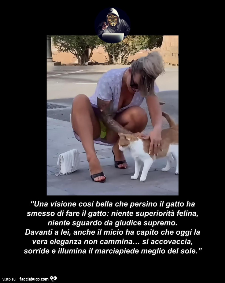 Vaccata