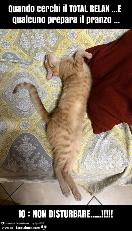 Quando cerchi il total relax&hellip; e qualcuno prepara il pranzo&hellip; io: non disturbare