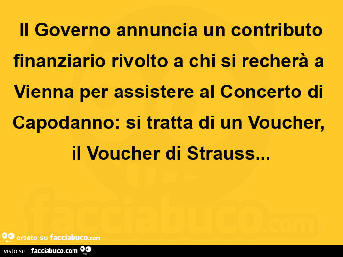 Il governo annuncia un contributo finanziario rivolto a chi si recherà a vienna per assistere al concerto di capodanno: si tratta di un voucher, il voucher di strauss