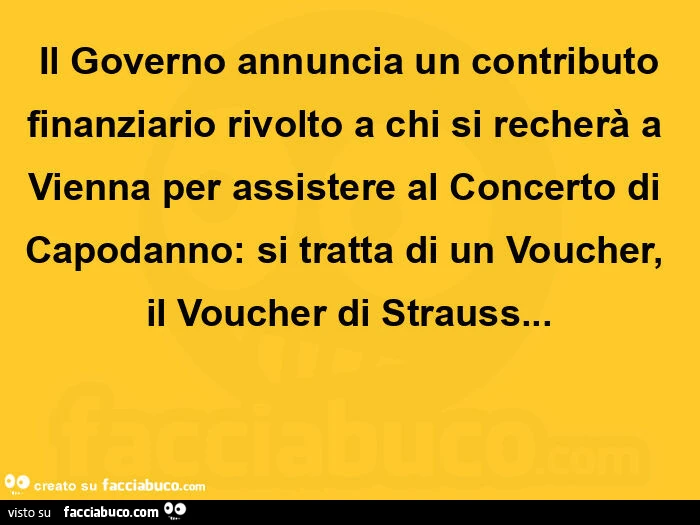 Il governo annuncia un contributo finanziario rivolto a chi si recherà a vienna per assistere al concerto di capodanno: si tratta di un voucher, il voucher di strauss