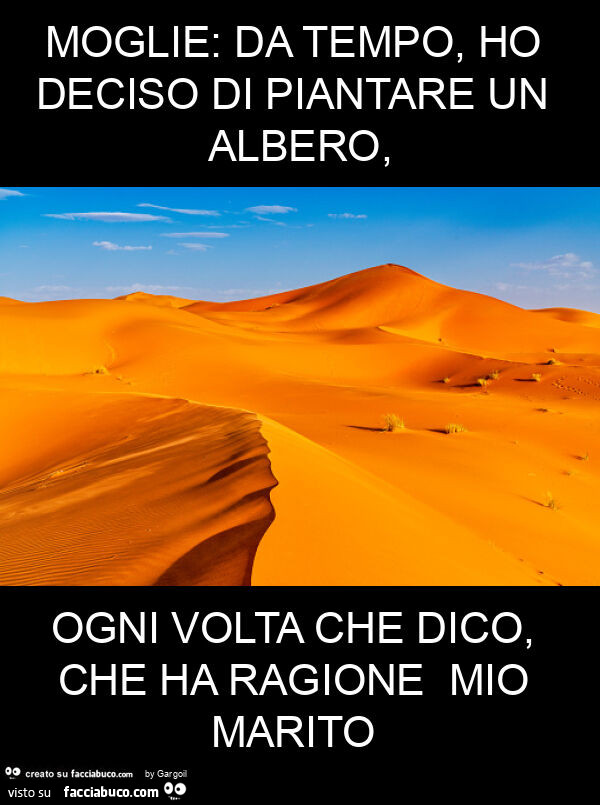 Moglie: da tempo, ho deciso di piantare un albero, ogni volta che dico, che ha ragione mio marito