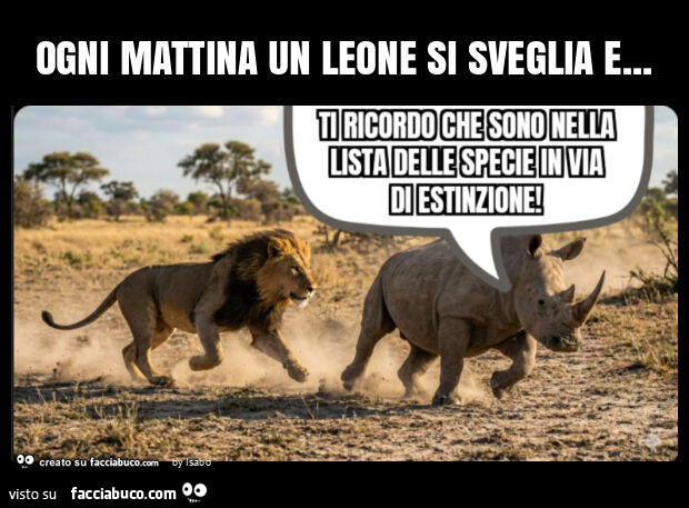 Ogni mattina un leone si sveglia e rinoceronte Ti ricordo che sono nella lista delle specie in via di estinzione