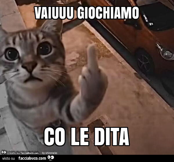Vaccata