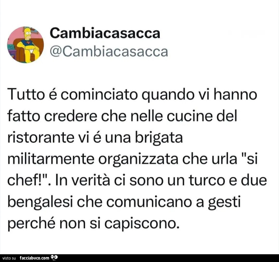 Tutto é cominciato quando vi hanno fatto credere che nelle cucine del ristorante vi é una brigata militarmente organizzata che urla "si chef! ". In verità ci sono un turco e due bengalesi che comunicano a gesti perché non si capiscono