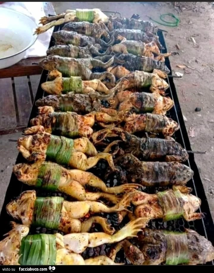 Vaccata