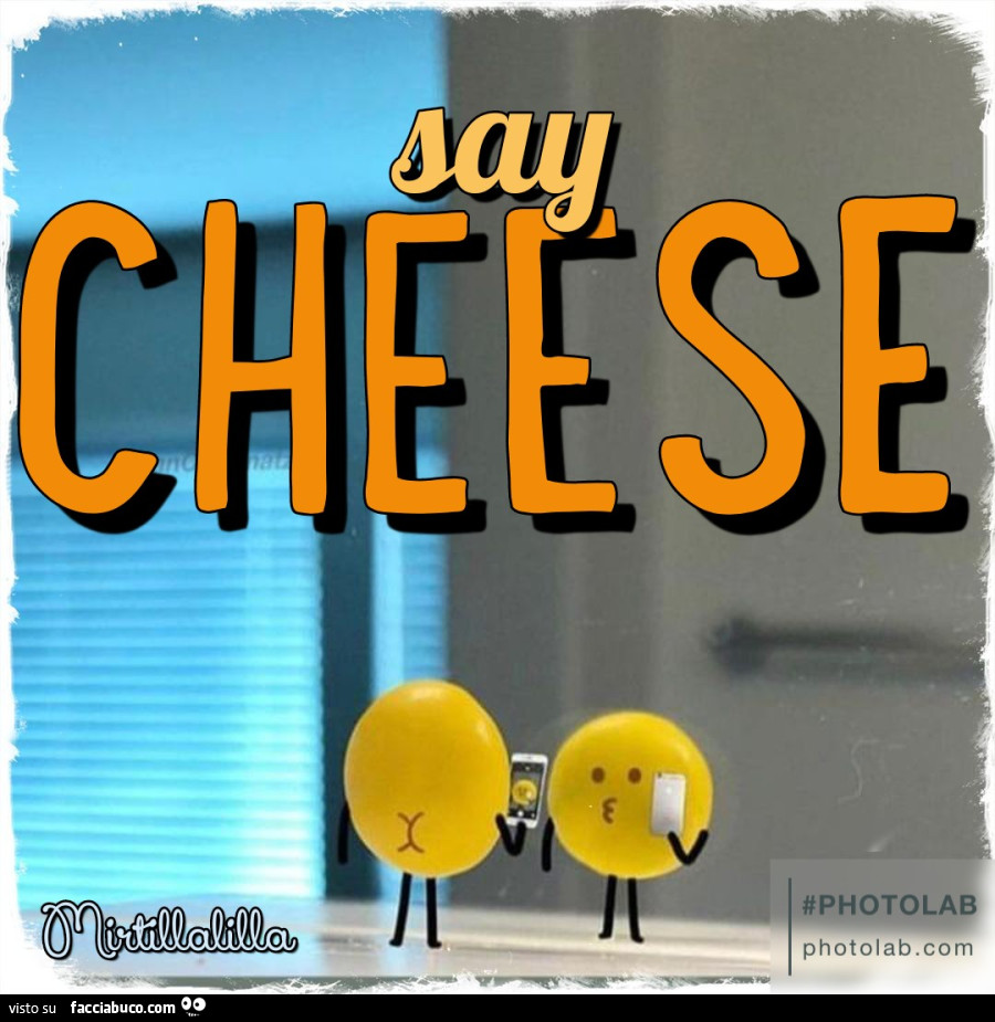 Cheese