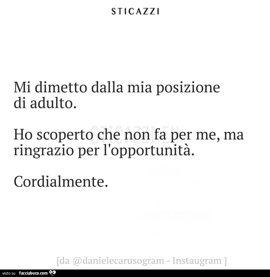 Mi dimetto dalla mia posizione di adulto. Ho scoperto che non fa per me, ma ringrazio per l'opportunità. Cordialmente