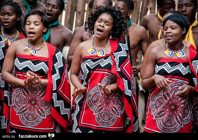 Vaccata