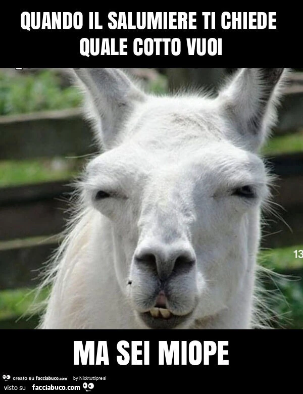Quando il salumiere ti chiede quale cotto vuoi ma sei miope