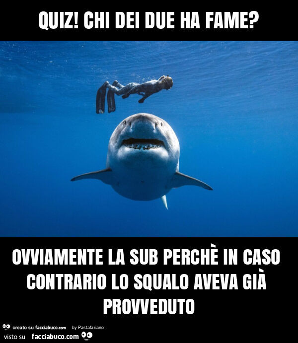 Quiz! Chi dei due ha fame? Ovviamente la sub perchè in caso contrario lo squalo aveva già provveduto