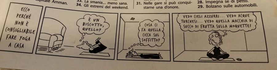 Vaccata