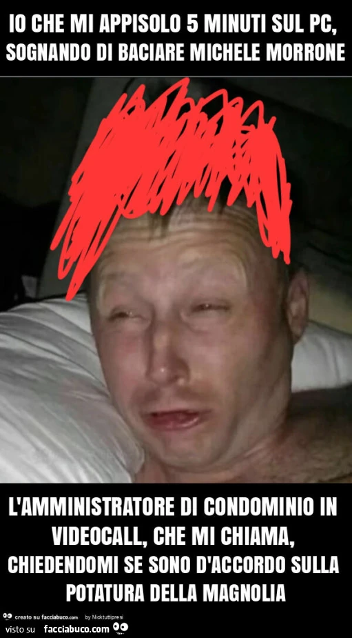 Io che mi appisolo 5 minuti sul pc, sognando di baciare michele morrone l'amministratore di condominio in videocall, che mi chiama, chiedendomi se sono d'accordo sulla potatura della magnolia
