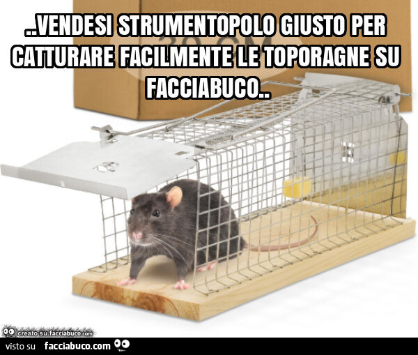 Vendesi strumentopolo giusto per catturare facilmente le toporagne su facciabuco