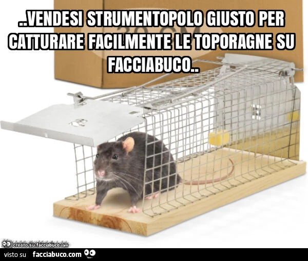 Vendesi strumentopolo giusto per catturare facilmente le toporagne su facciabuco