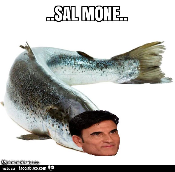 Sal mone