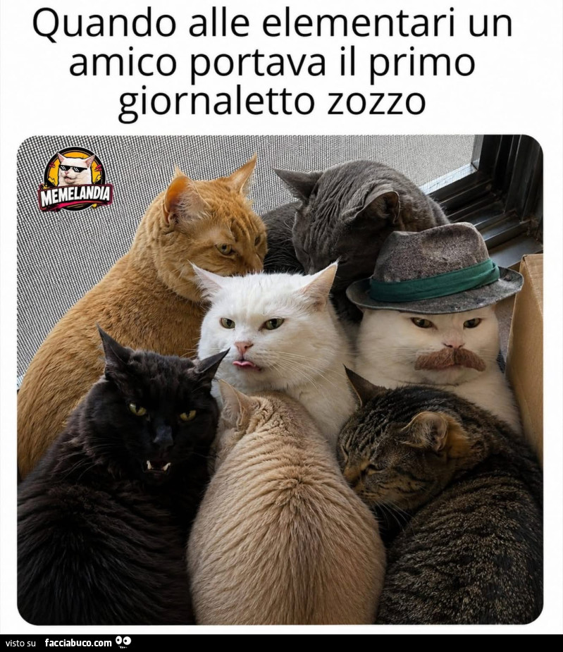 Vaccata