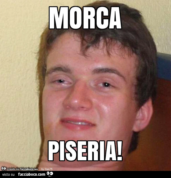 Morca piseria