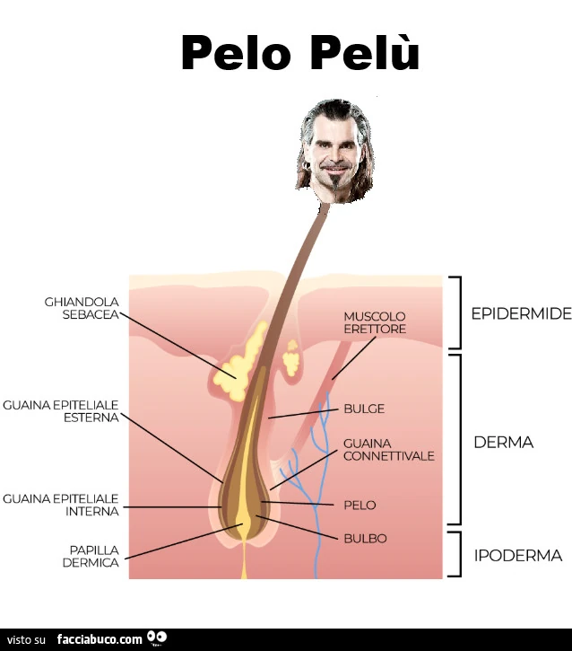Pelo Pelù