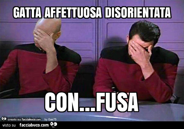 Gatta affettuosa disorientata con… fusa