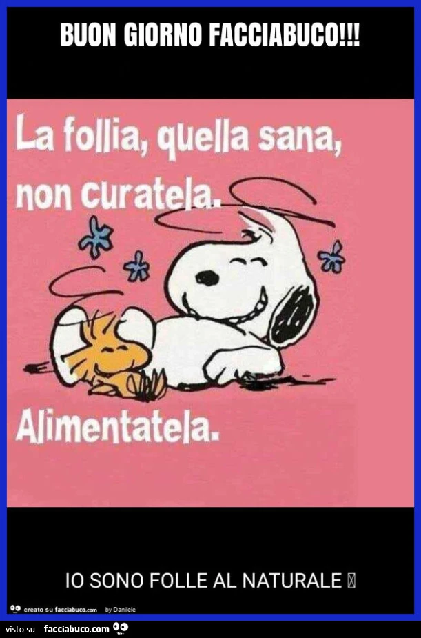 Buon giorno facciabuco