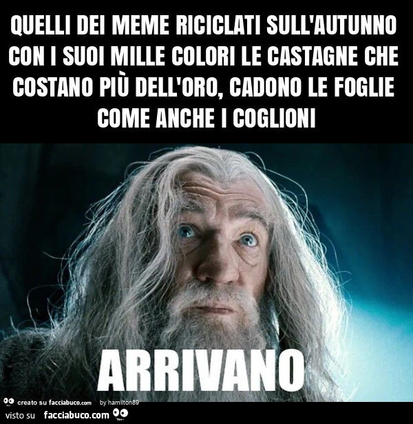 Quelli dei meme riciclati sull'autunno con i suoi mille colori, le castagne che costano più dell'oro e cadono le foglie come anche coglioni