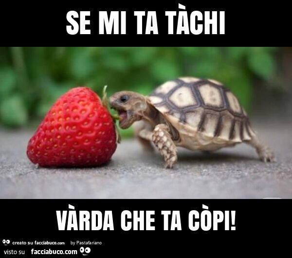 Se mi ta tàchi vàrda che ta còpi
