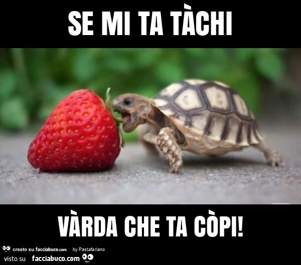 Se mi ta tร chi vร rda che ta cรฒpi