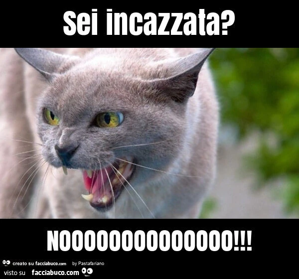 Sei incazzata? Noooooooooooooo