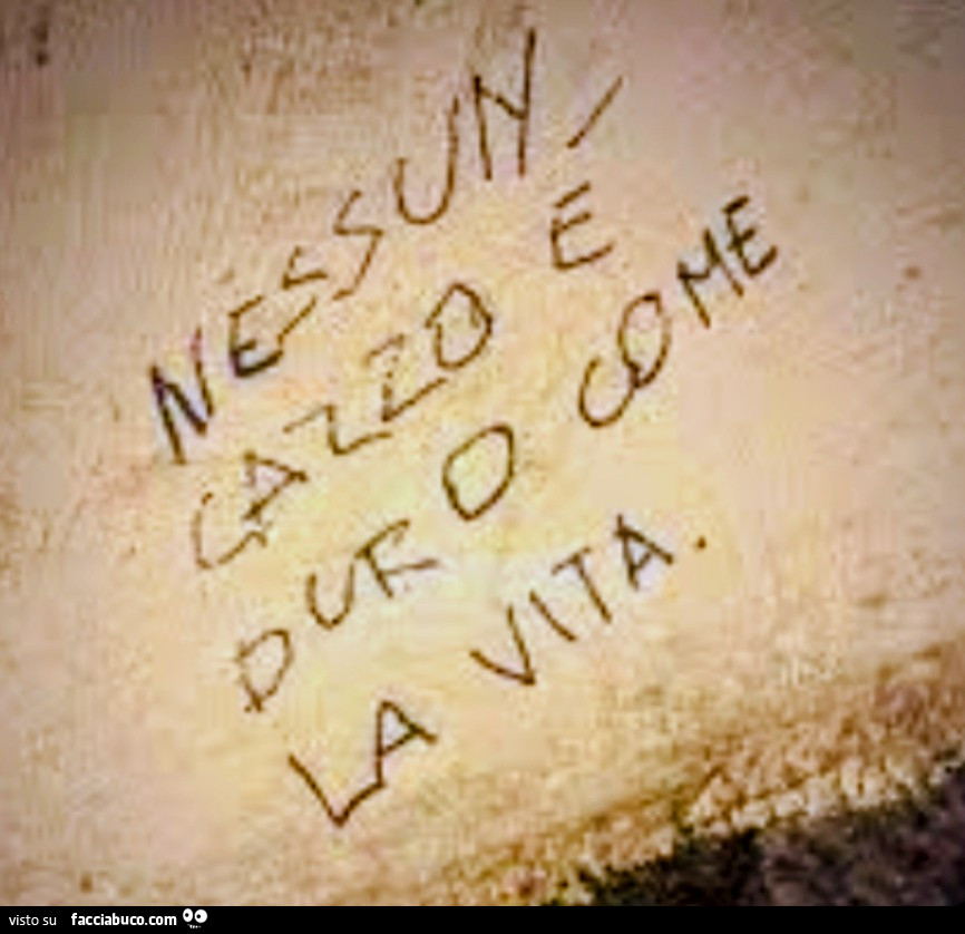 La vita