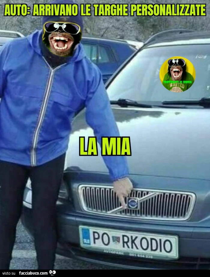 Auto arrivano le targhe personalizzate la mia