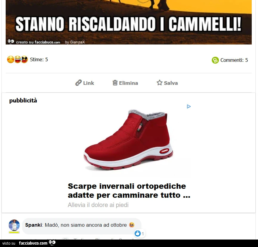 Vaccata