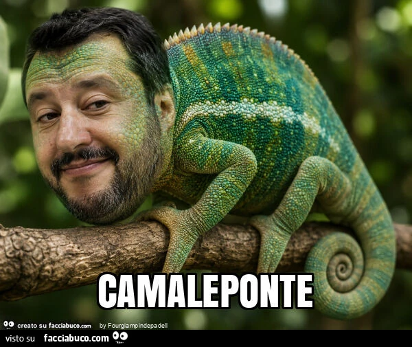 Camaleponte