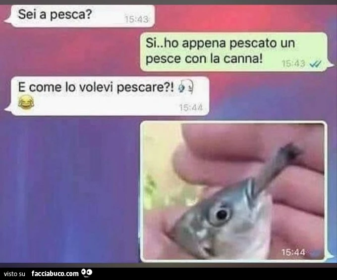 Vaccata