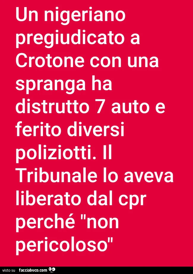 Un nigeriano pregiudicato a crotone con una spranga ha distrutto 7 auto e ferito diversi poliziotti. Il tribunale lo aveva liberato dal cpr perché non pericoloso